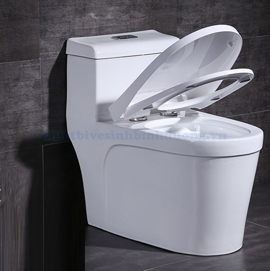 Bồn cầu Canary CA-C03